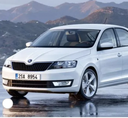 Ремонт Ремонт Skoda Rapid 2012-2017