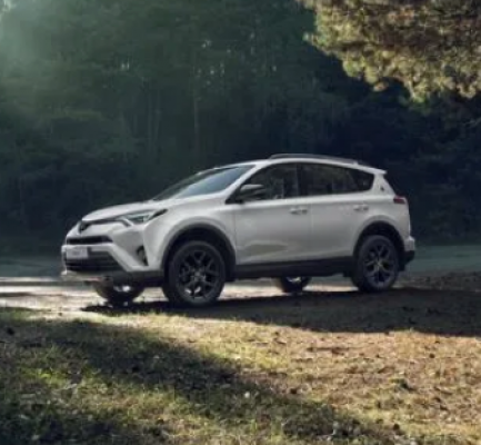 Ремонт Диагностика Toyota RAV4 2016-2019